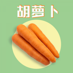 zqftest1224-1
